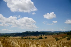 poggiodomo